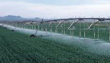 Intelligent irrigation: growing green