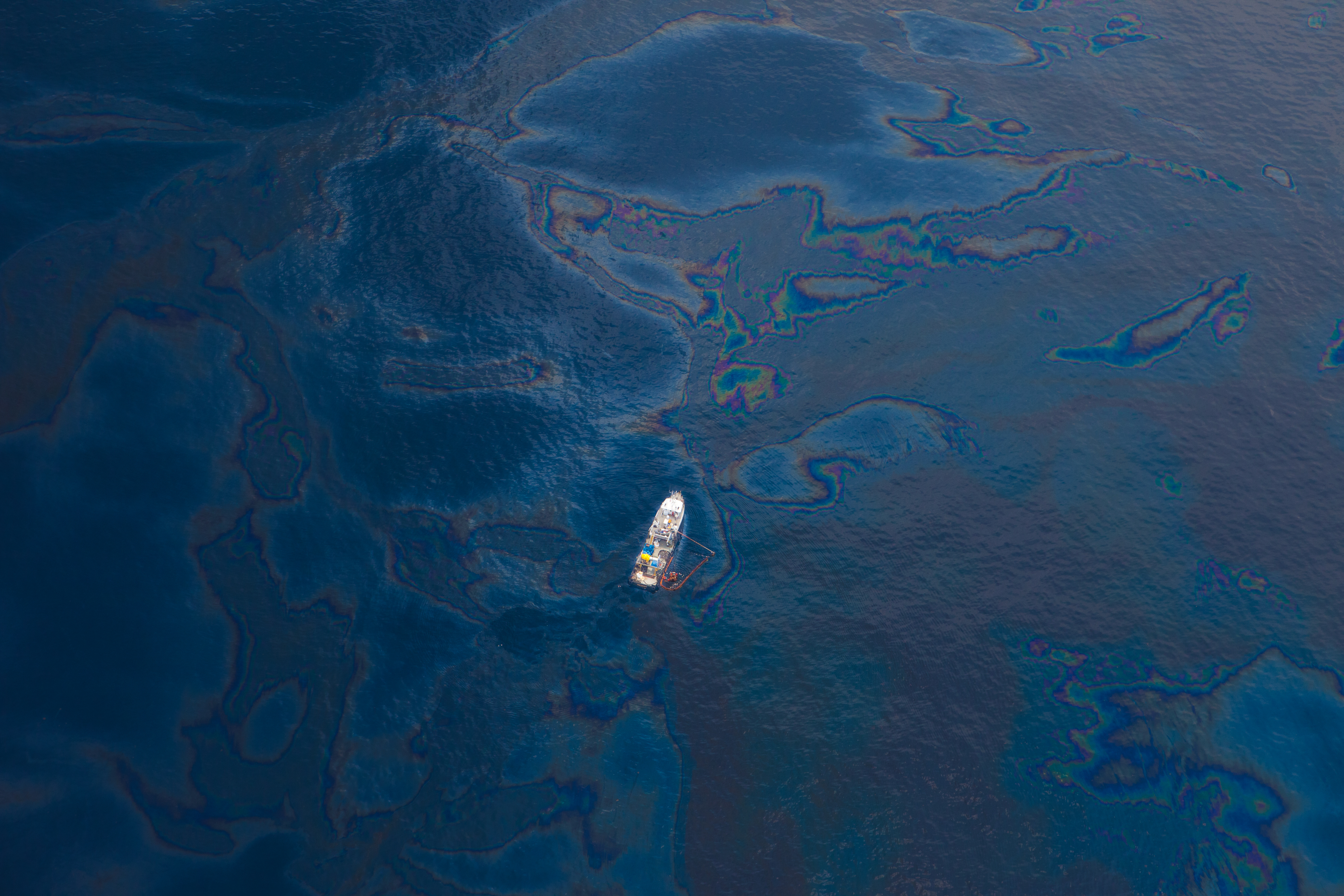 Extensive Coral Damage Related to BP Spill