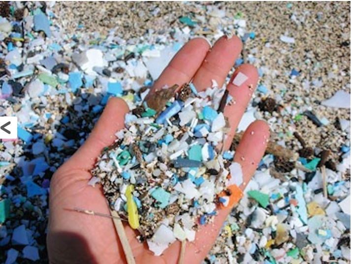Inventory of Plastic Debris in the Great Lakes - A Study