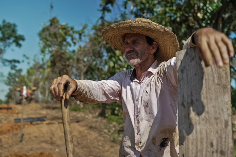 How agroforestry can restore degraded lands and provide income in the Amazon