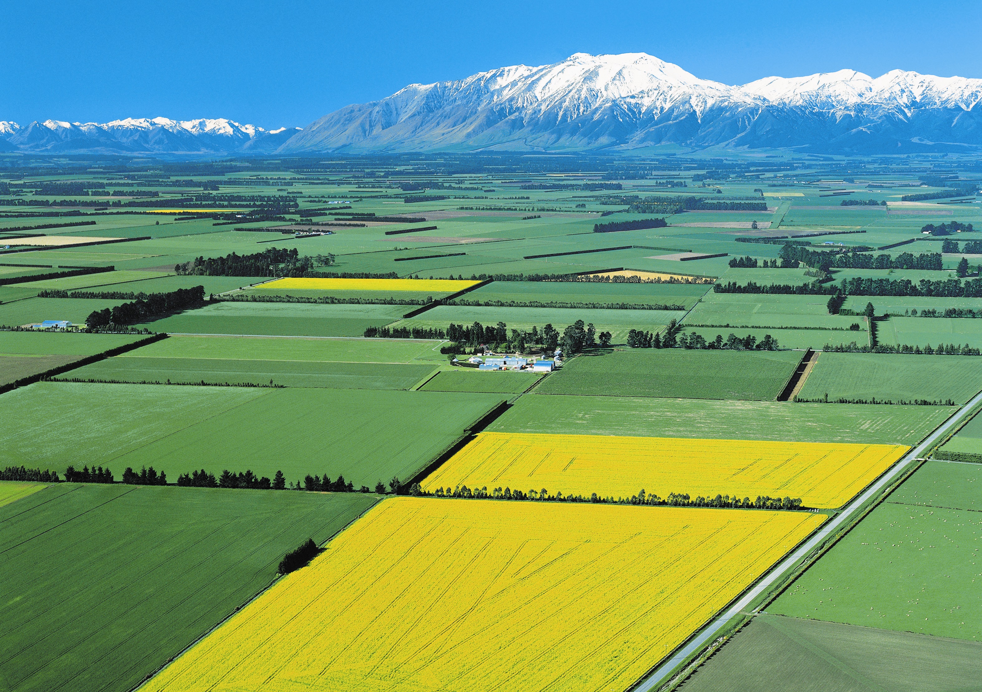 New Zealand Farm Tech's Growth Potential