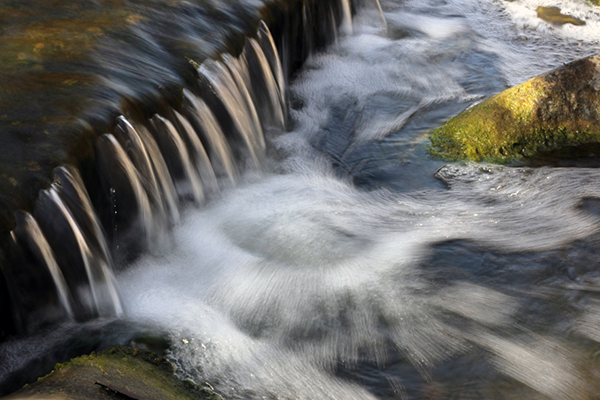 Topsy-turvy Currents Key to Removing Nitrate from Streams