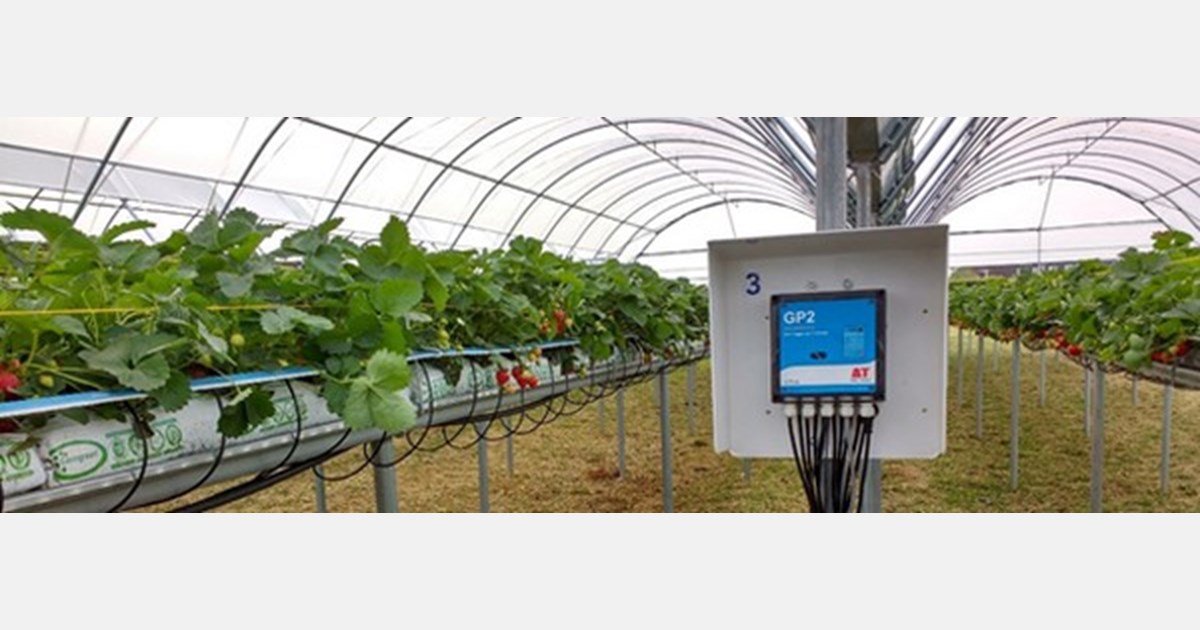 Record crop yields due to smart irrigation breakthroughs