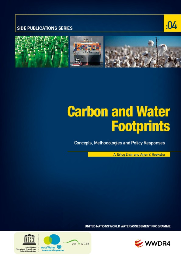 Carbon and water footprints: Concepts, methodologies and policy responses