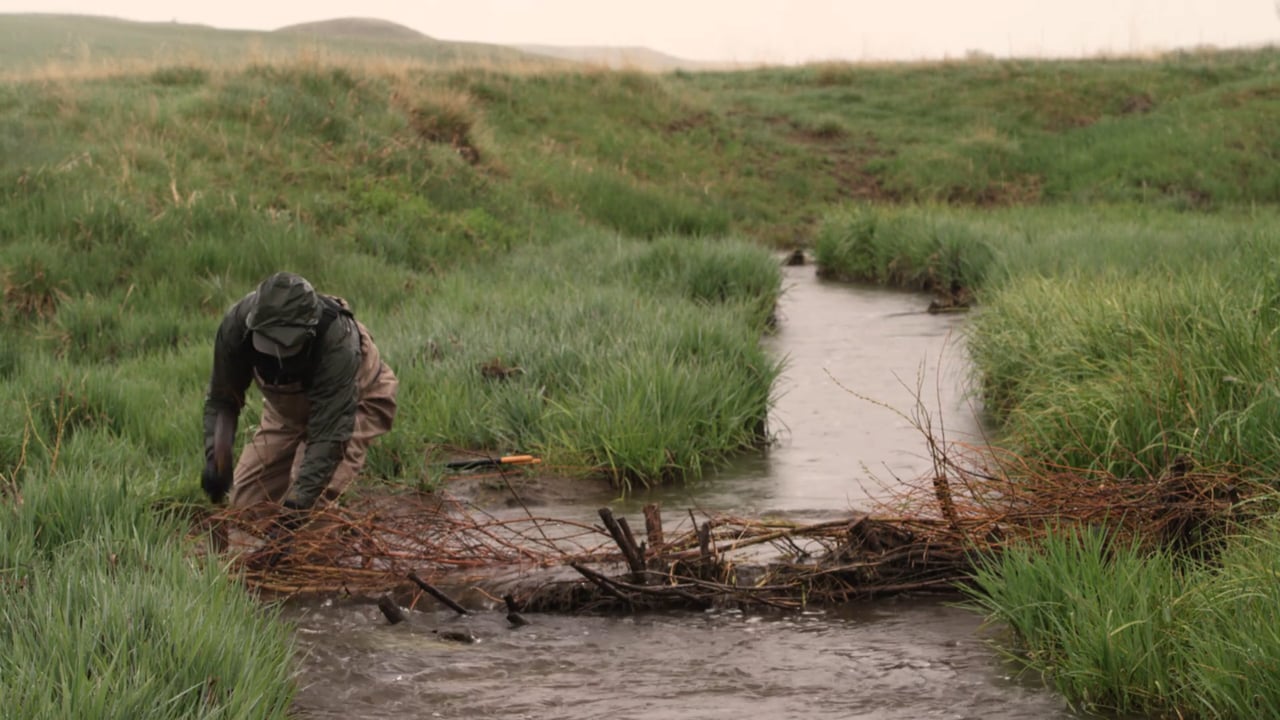 Latest ​Weapons Against ​Climate Change