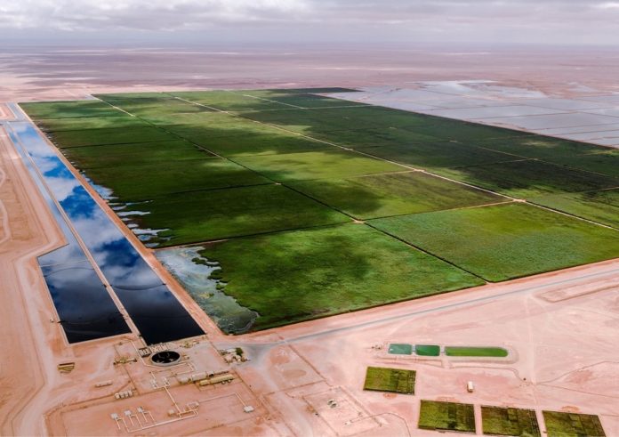 Expansion for Oman's flagship industrial constructed wetland - The Source