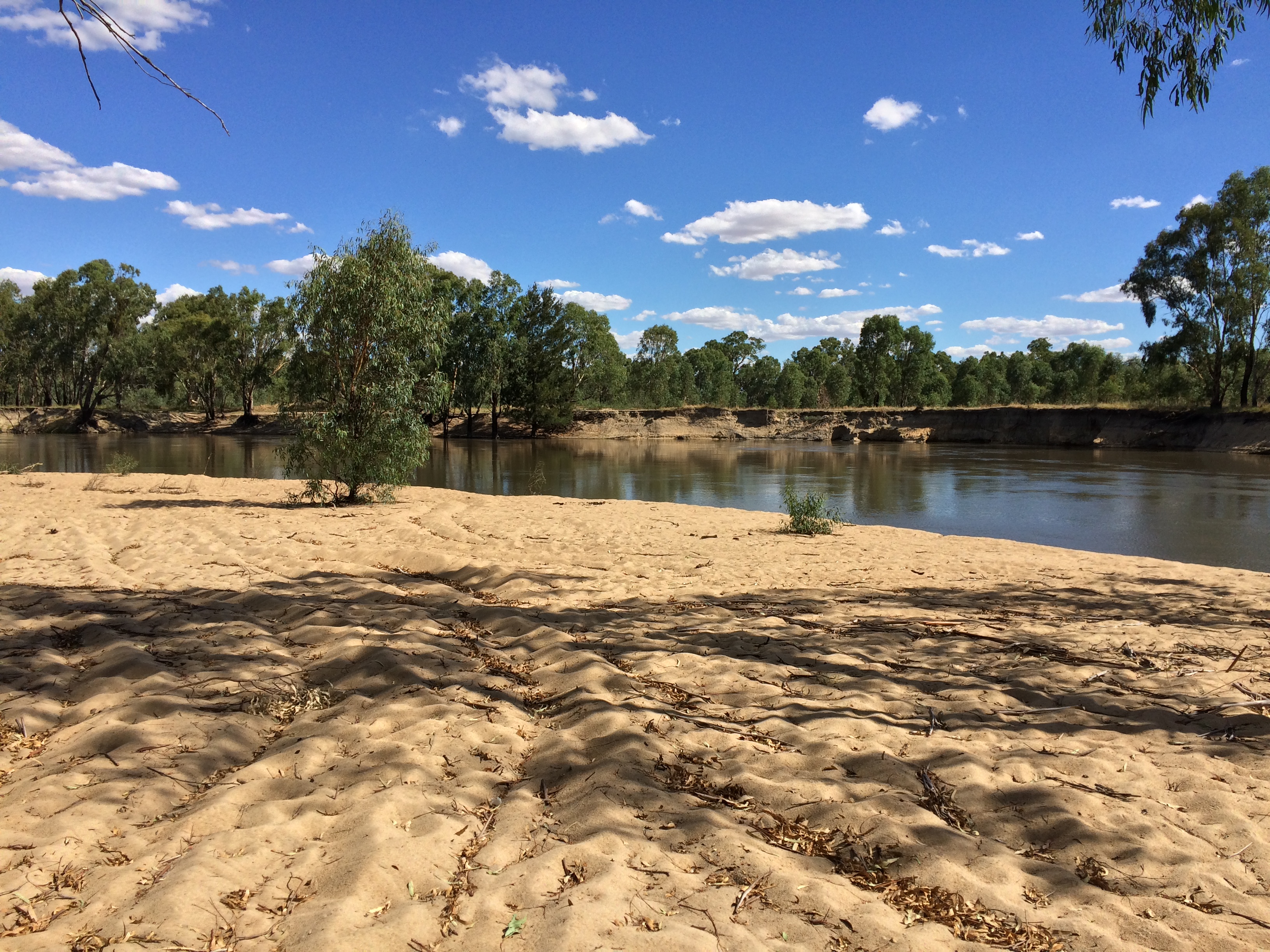 Managing Flows in the Murrumbidgee Valley (Case Study)