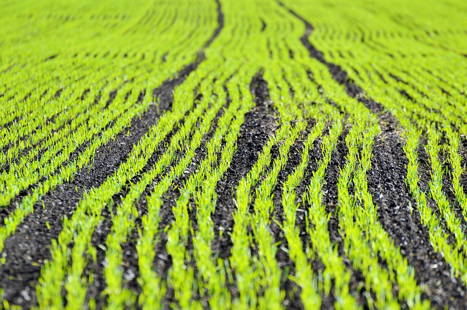 UK Government Moves to Boost Water Quality with New Rules for Farmers