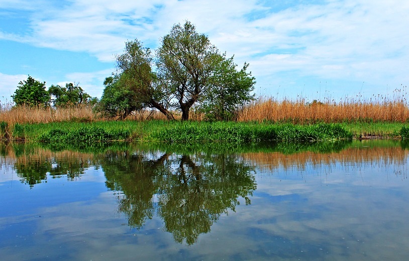 New Research to Identify the Ecosystem Effects of the Water Plants Removal