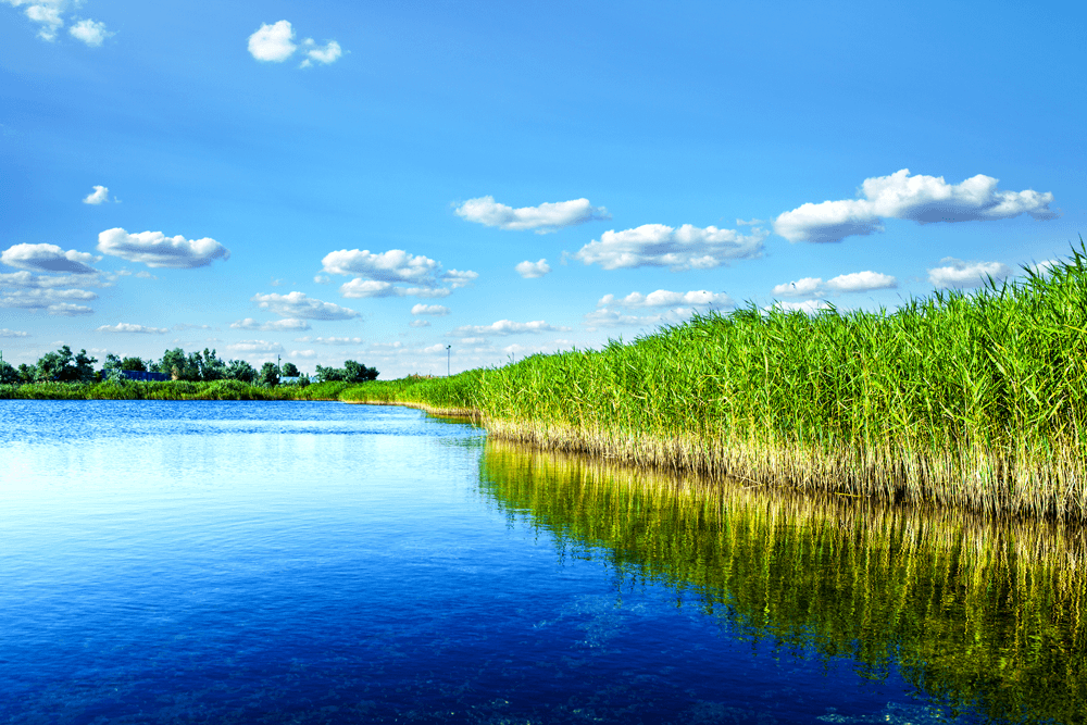 Unesco-IHE and WRI Partner on Water Management