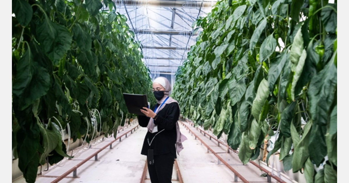 Jordanian women trained on modern agricultural technology