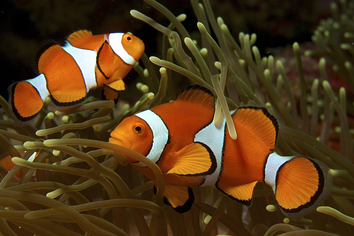 This Week in Water for May 25, 2025