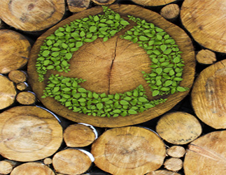 Fuel Production from Biomass Using Sunlight