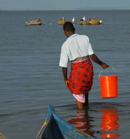 New water purification tablet makes river water safe to drink