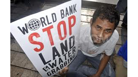 First global qualitative assessment of 'water-grabbing' phenomenon