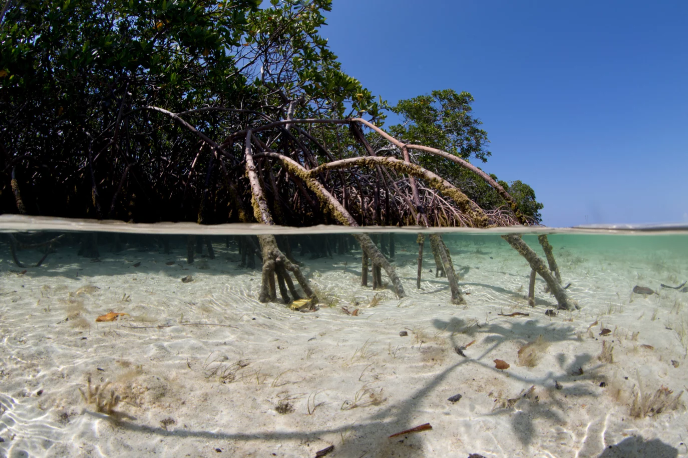 Coastal communities need resilient ecosystems and infrastructure