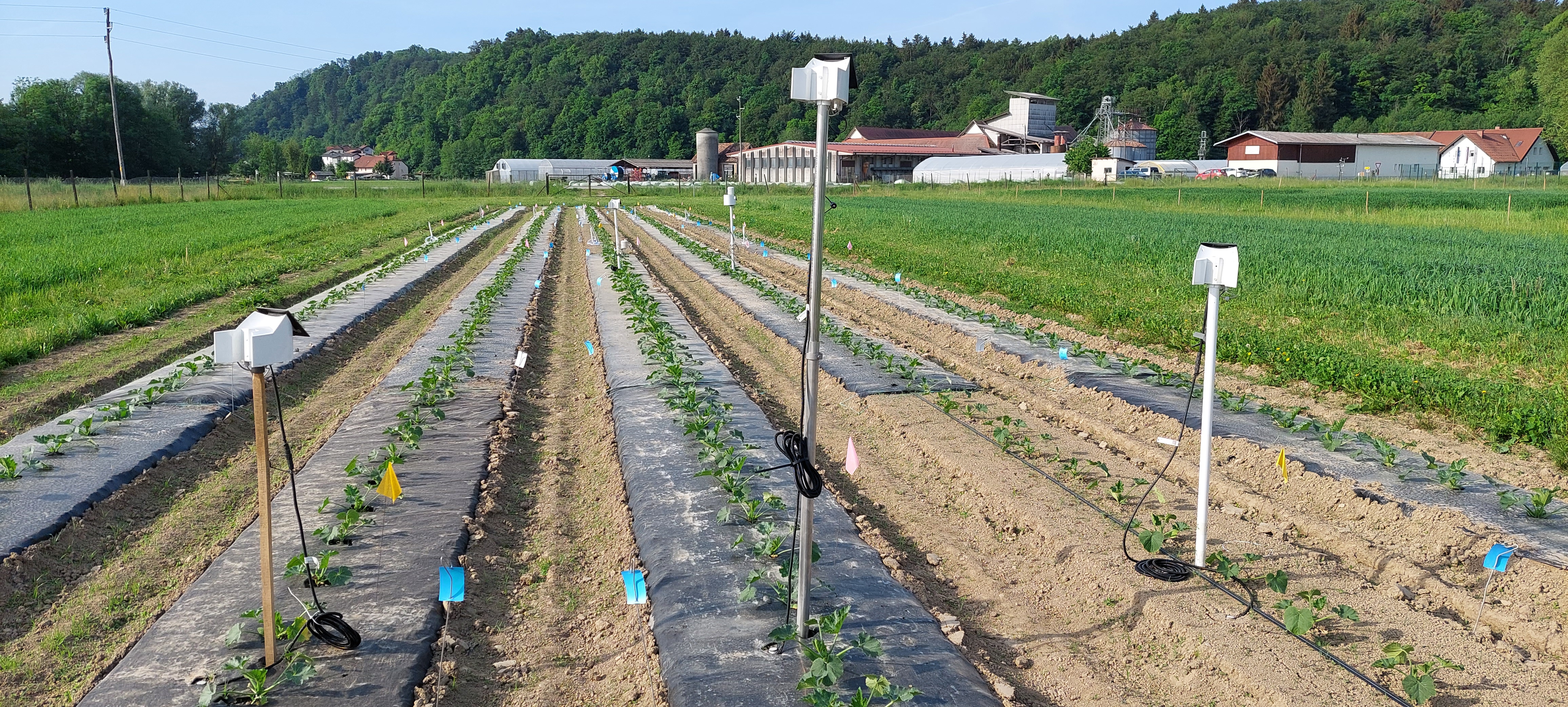 Sensors play a crucial role in modern and advanced irrigation systems by providing accurate and timely information about soil moisture, temperat...