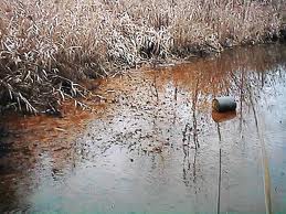 Groundwater Arsenic Clean Up Order