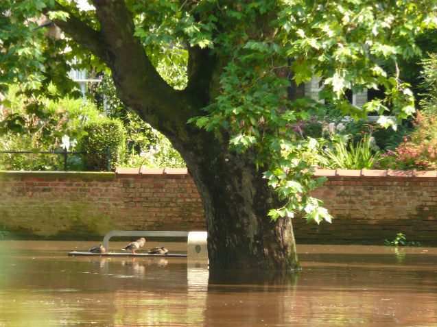 Why Do Floods Sometimes Happen on Sunny Days?