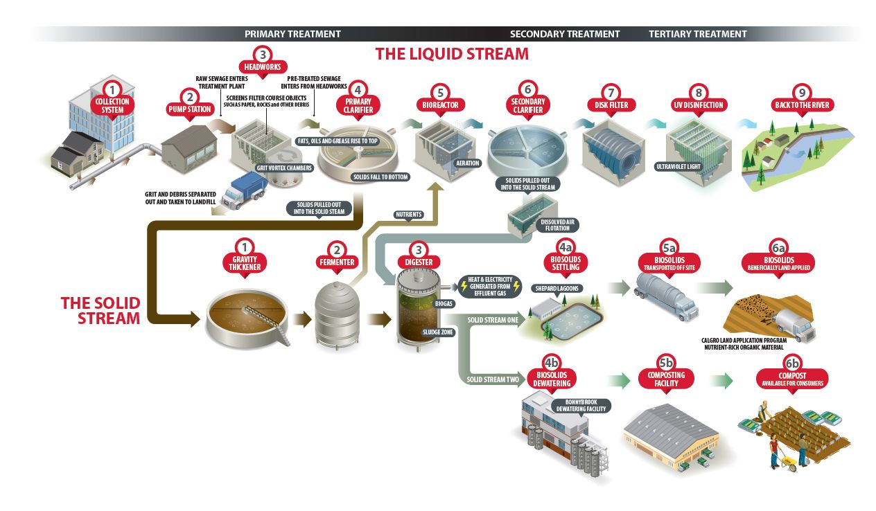 Part 2: Troubleshooting Biological Processes in Wastewater Treatment Systems** 🔧### 3. **Analyze and Address Common Issues** 🔧#### a. **Re...