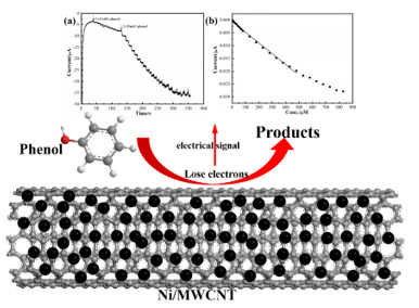 Ni/MWCNT-based Electrochemical Sensor for Fast Detection of Phenol in Wastewater