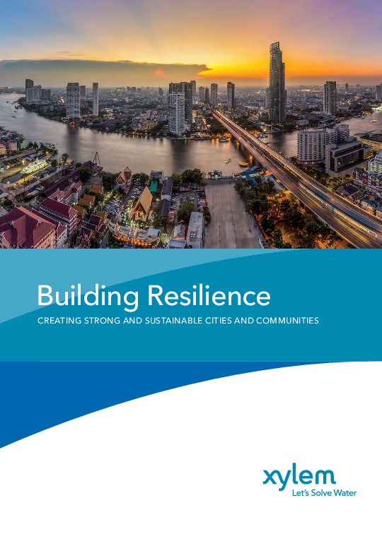 Building Resilience: Creating Strong and Sustainable Cities and Communities