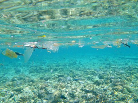 Movements of Oceanic Piles of Waste - Plastic 'Continents'