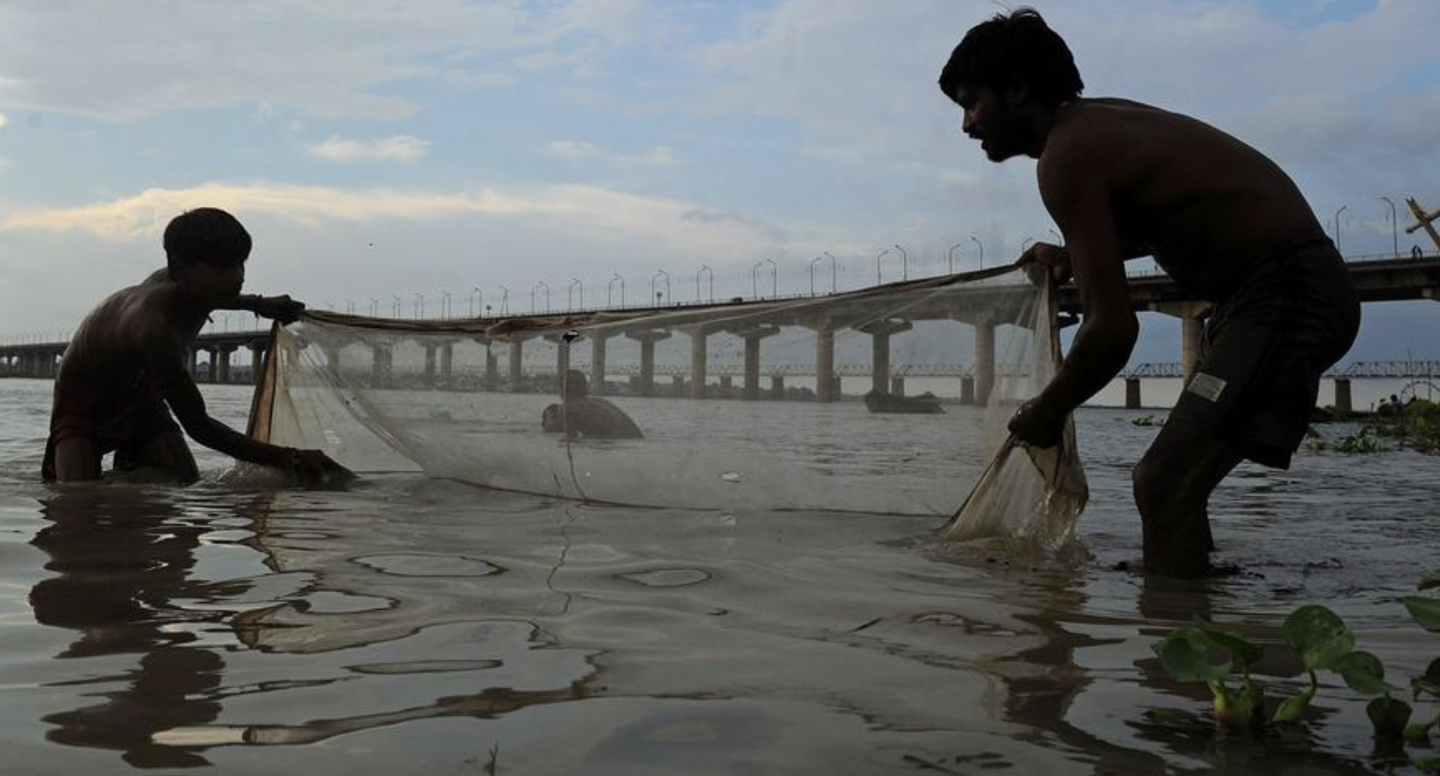 Ganga&rsquo;s lower stretches are in &lsquo;poor&rsquo; or &lsquo;very poor&rsquo; health across all seasons, shows a new studyRapid urbanisation shows cascading ef...