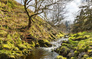 UK Environment ​Agency Calls ​for Action on ​Water ​Efficiency to ​Save Rivers ​