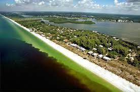 Governor Ron DeSantis Announces Award of More Than $13.6 Million for Innovative Technologies to Clean Up and Mitigate Harmful Algal BloomsOn Apr...