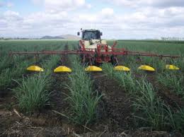 Herbicide runoff reduced to Great Barrier Reef