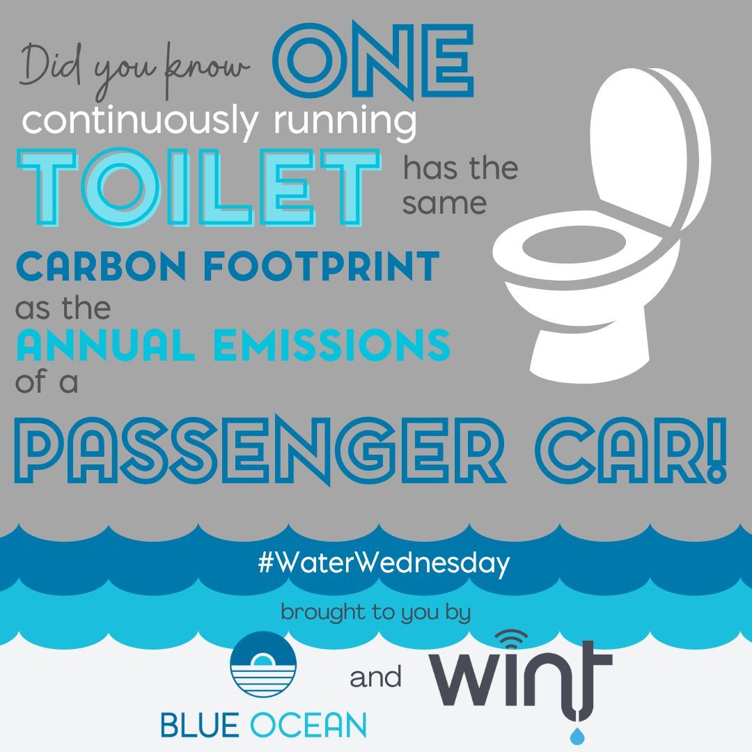 https://www.linkedin.com/posts/marvelgentryharmon_waterwednesday-savewater-carbonfootprint-activity-7024201186064957440-08dh?utm_source=share&ut...