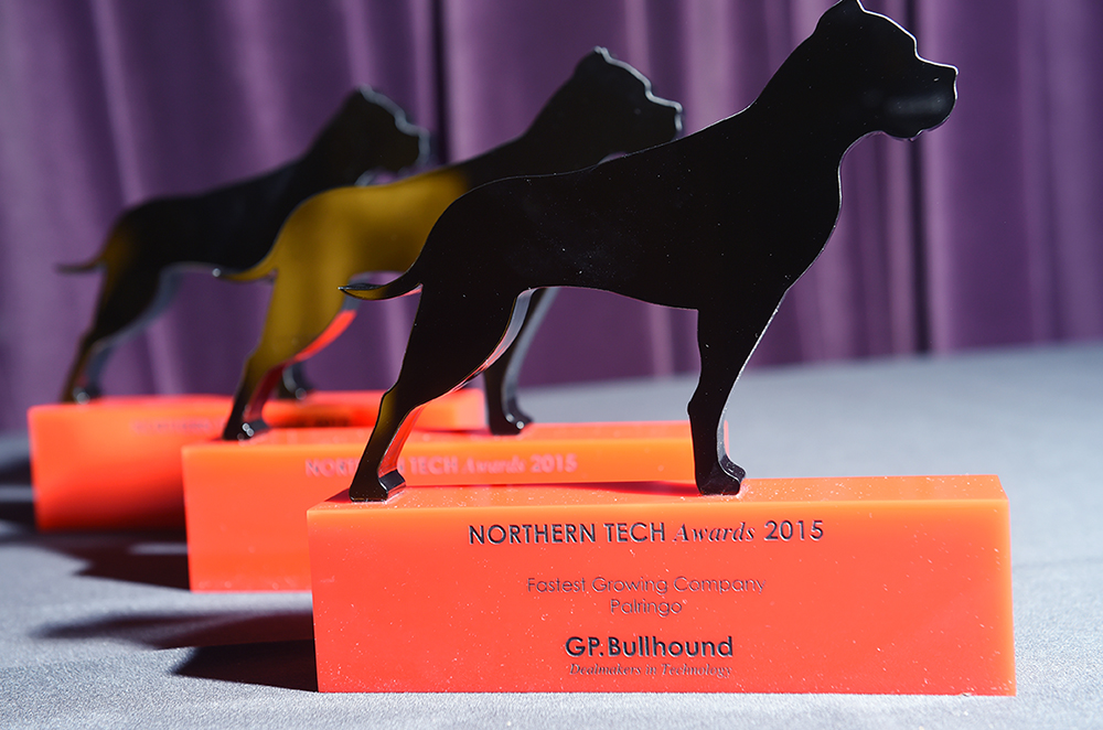 GP Bullhound Connect Award 2016