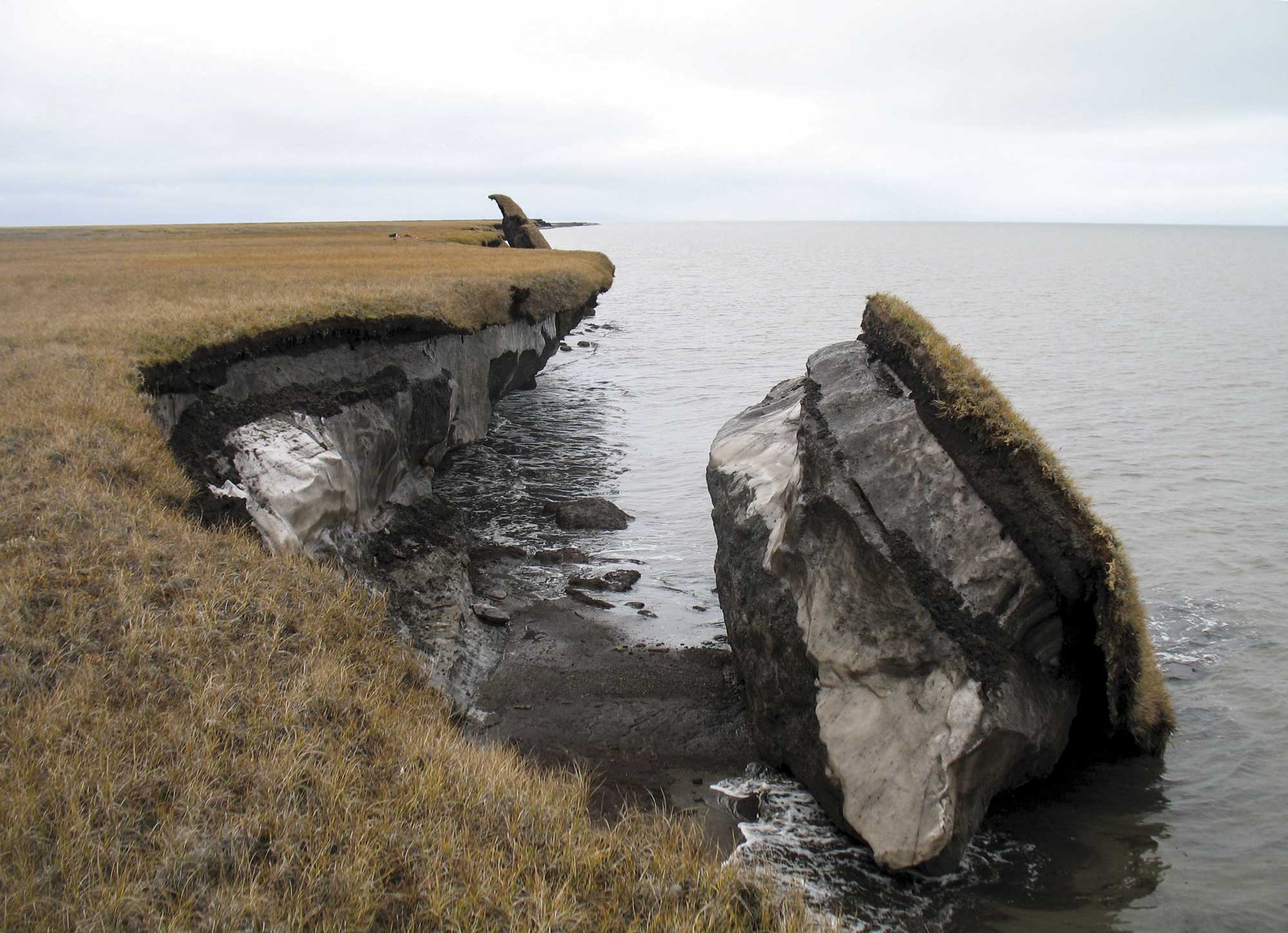 Retreat Of The Arctic Coast Drastically Impacts Shallow Water Life