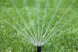 Rwanda: New Strategy to Promote Irrigation, Mechanisation