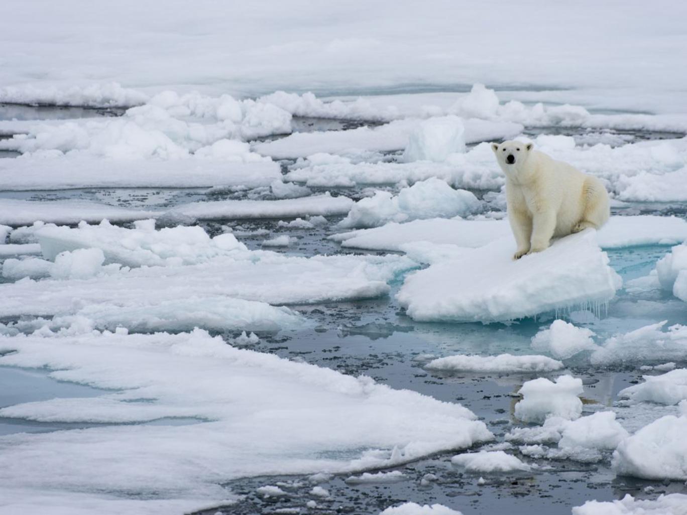 Arctic Warming: Why Record-breaking Melting is Just the Beginning