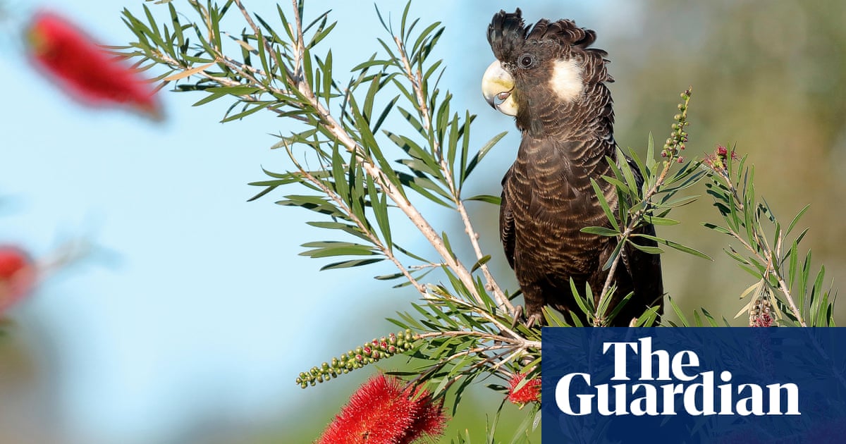 Australia signs global nature pledge committing to reverse biodiversity loss by 2030