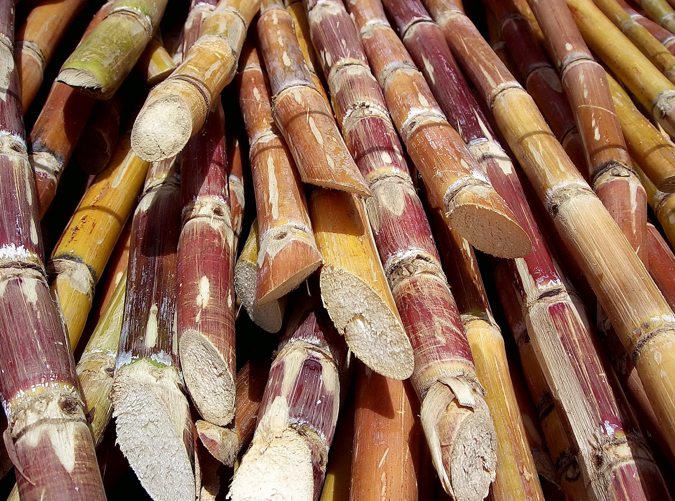 Sugar Cane Processing with Less Water