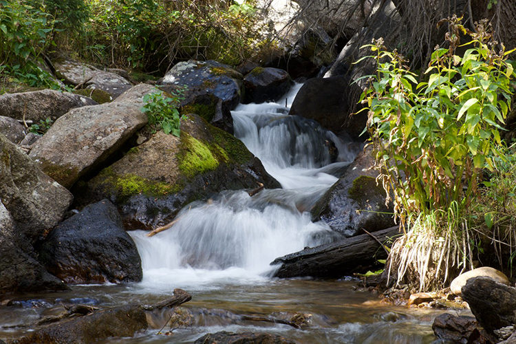 Clean Water Act Dramatically Cut Pollution in U.S. Waterways