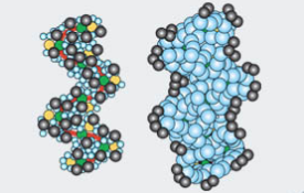 Clean Water Technology's GEM System a Cost Effective Solution