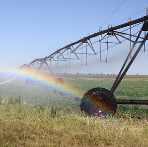 New report shows California agriculture already water-efficient