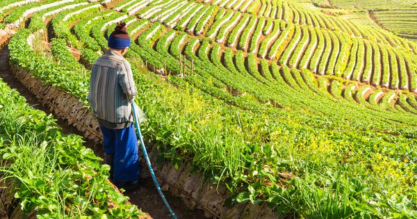 5 Smart Tech Solutions to Water Challenges Around the World