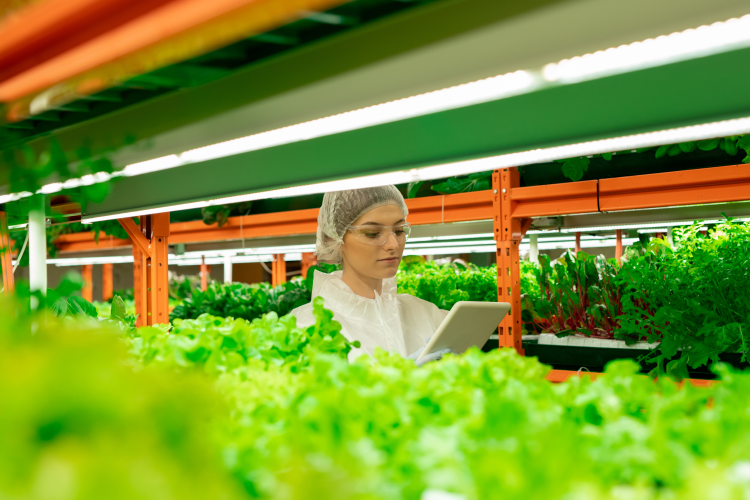 iFarm talks &lsquo;next generation&rsquo; of vertical farming, Qatar expansion31-May-2021 By Katy AskewFinnish ag tech company iFarm has entered into a ...