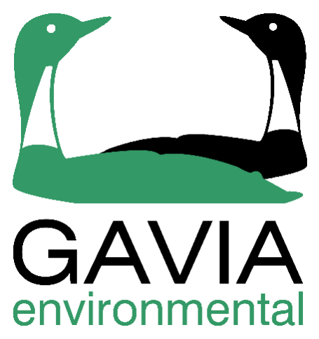 Gavia Environmental Limited