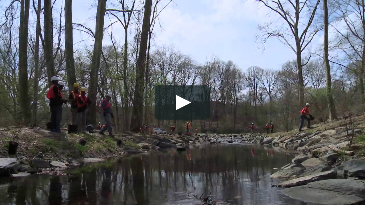 Healthy Urban Waters: Empowering People, Improving Communities, Creating Jobs (Video)