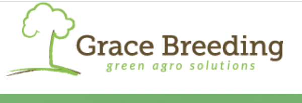 Grace Breeding