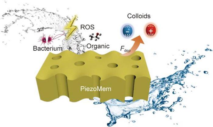 Study explores hydraulic energy harvesting during water treatment