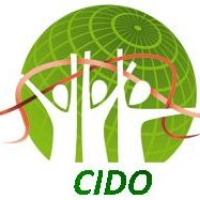 Creative and innovative developmental organization (CIDO)