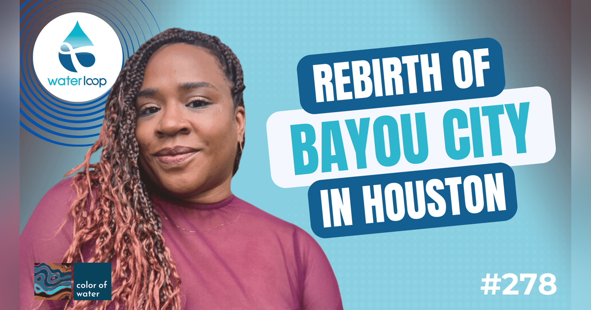 The Rebirth of Bayou City: Centering Water in Houston