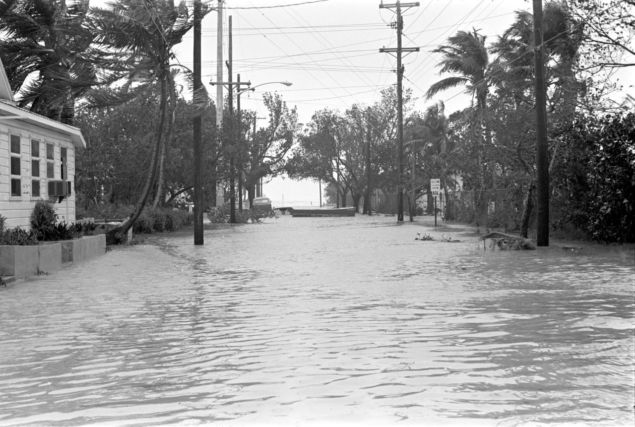 Ethnic minorities exposed to higher flood risk in Miami